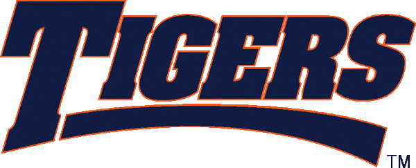 Auburn Tigers 1998-2003 Wordmark Logo iron on transfers for T-shirts